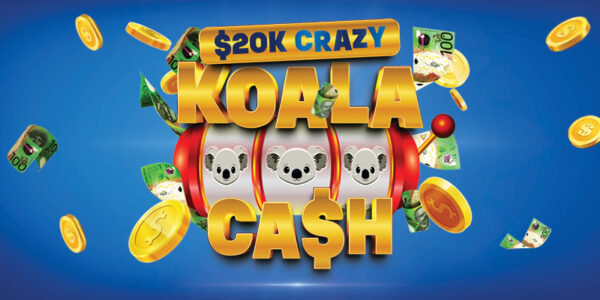 07122025232141-Sharks-20KKoalaCash_WebsiteFeaturedImage