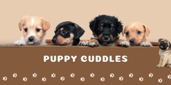 Larrikin puppets & Puppy cuddles (web image) (1)